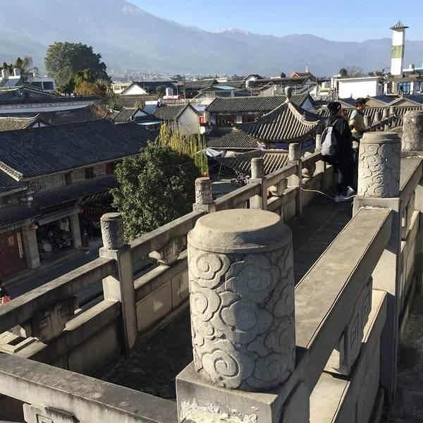 乐虎科技种植基地 - 300家合作农户